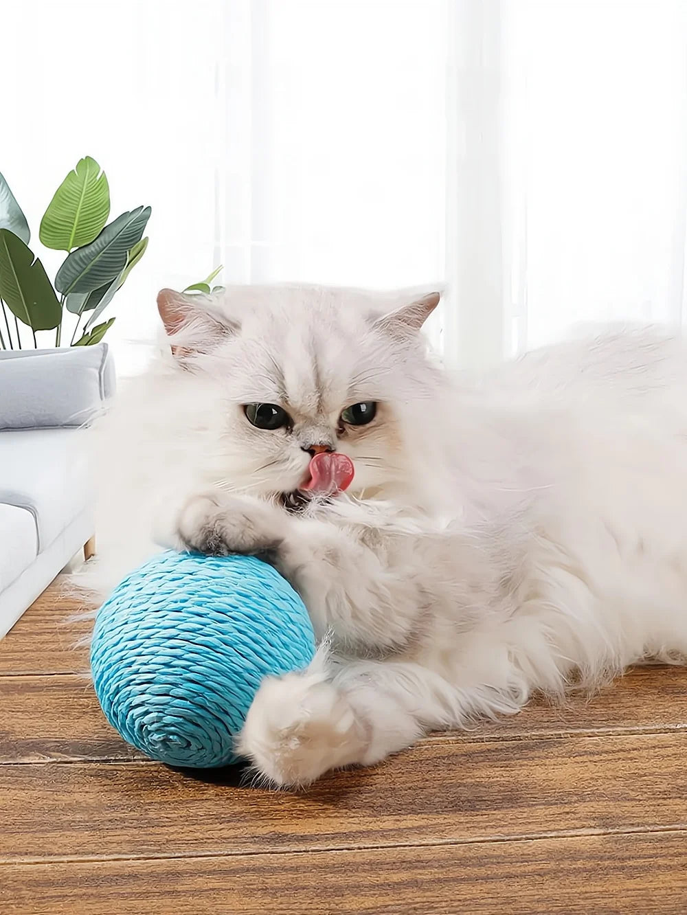 10cm Interactive Sisal Cat Scratching Ball Toy - Extra Large Rope Ball with Sound for Chewing & Playing - Deribla Store