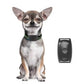 GPS Dog Fence & Tracking System - Wireless Geofencing with Route Recording for Dogs & Cats - Deribla Store
