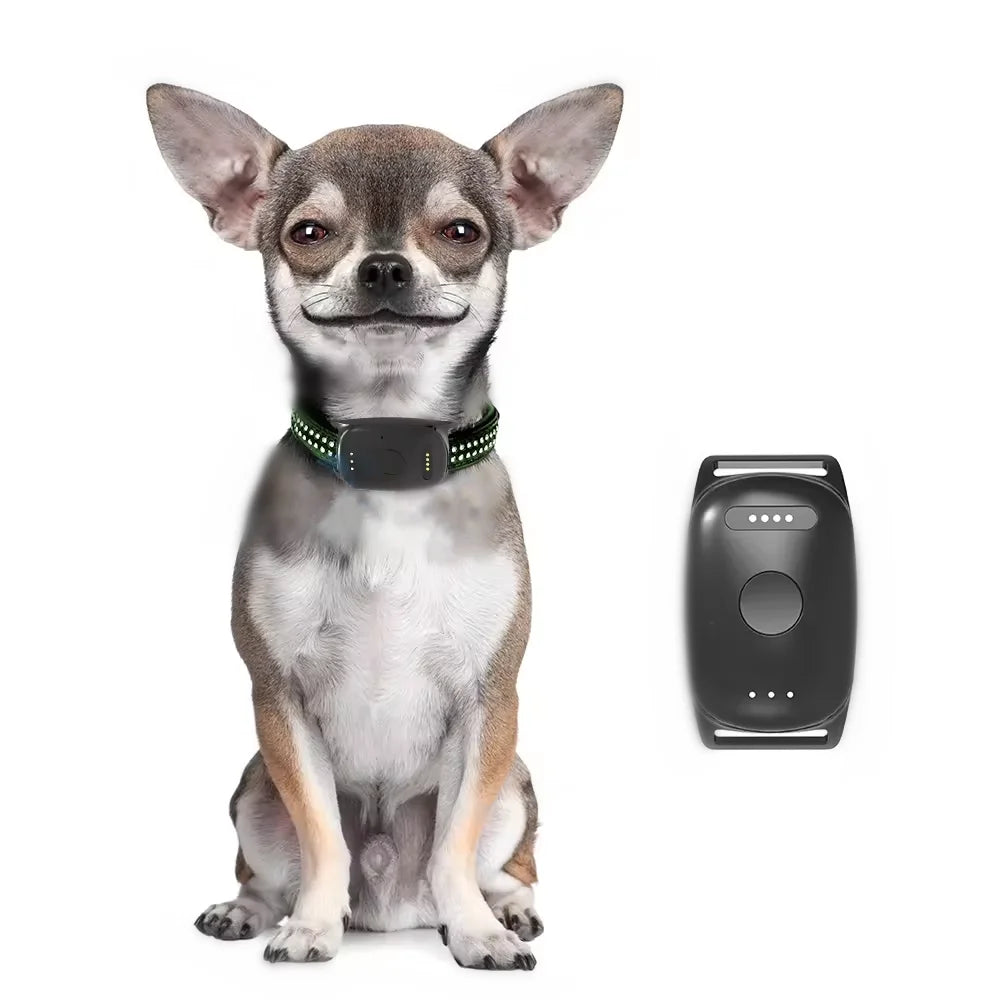 GPS Dog Fence & Tracking System - Wireless Geofencing with Route Recording for Dogs & Cats - Deribla Store