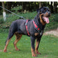 Anti-Pull Reflective Dog Harness - Multi-Point Adjustable No-Pull Vest - Deribla Store