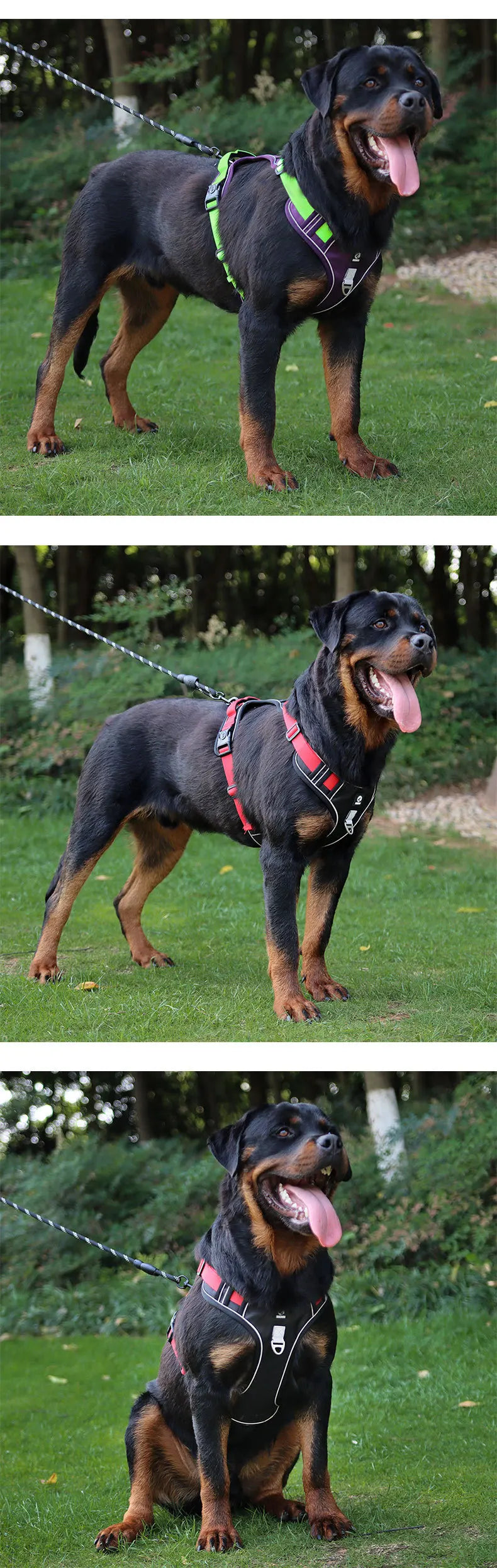 Anti-Pull Reflective Dog Harness - Multi-Point Adjustable No-Pull Vest - Deribla Store