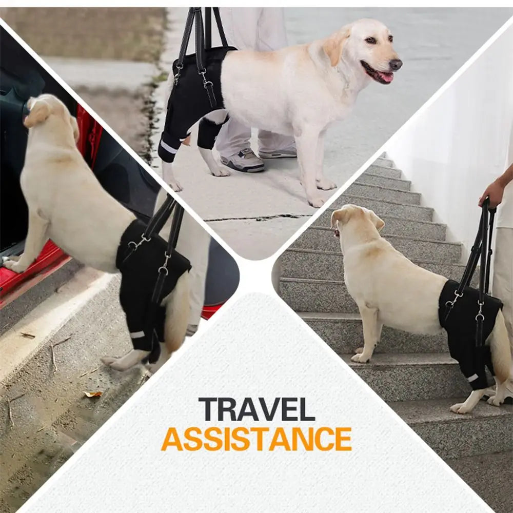 Dog Lift Harness - Adjustable Rear Leg Support with Padded Handle for Senior Dogs - Deribla Store