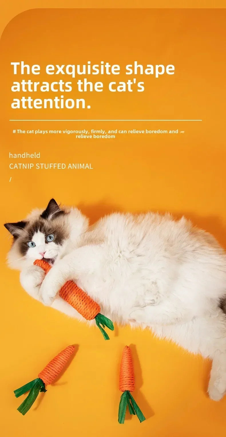 Carrot Cat Toy with Sound - Sisal Teething Stick, Bite-Resistant Dental Chew Toy - Deribla Store