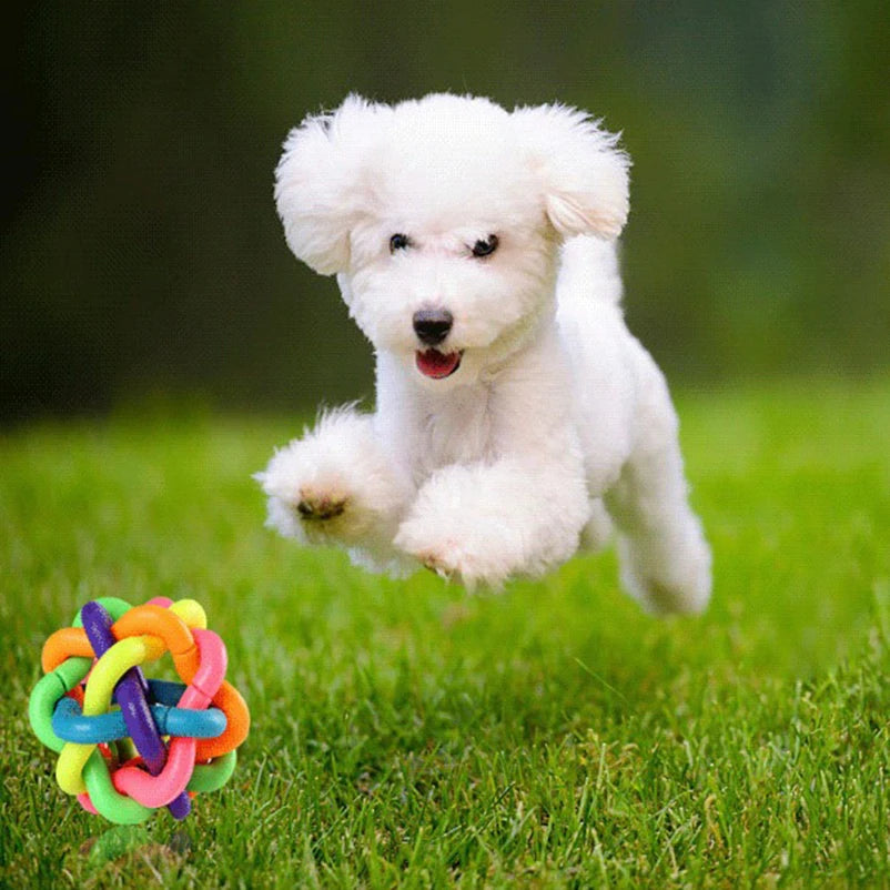 Rainbow Woven Ball Dog Toy with Bell - Bite-Resistant Rubber Chew Toy - Deribla Store