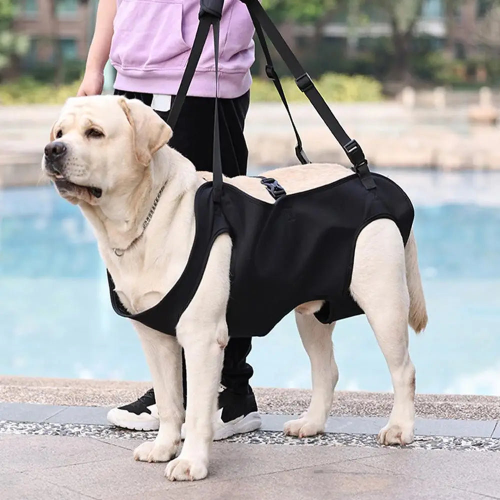 Dog Rehabilitation Sling