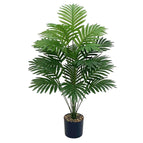 18 Head Areca Palm