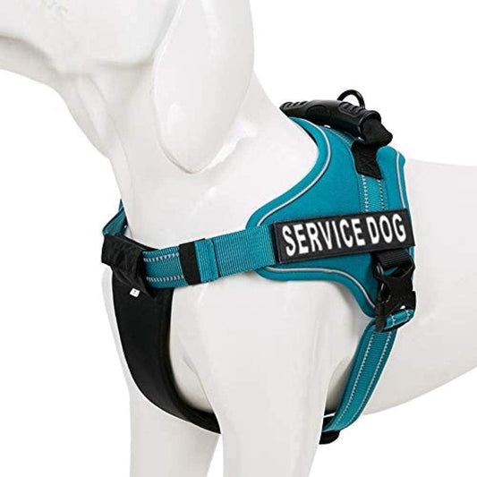 Dog Harness Vest X Small (Teal Blue) | Comfortable & Lightweight Soft Padded Vest for Service Dogs | No-Choke & Easy Control Pet Oxford | 3M Reflective Patches for Dog Visibility