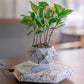 Levitating Plant Pot Marble Color Floating Planter Magnetic Levitation Bonsai Pot Office Home Decoration Kids Birthday Gift Home Decor